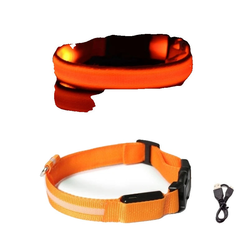 Variant image for LED Dog Collar Light for Dogs – USB Rechargeable, Anti-Lost, Lightweight Visibility-51