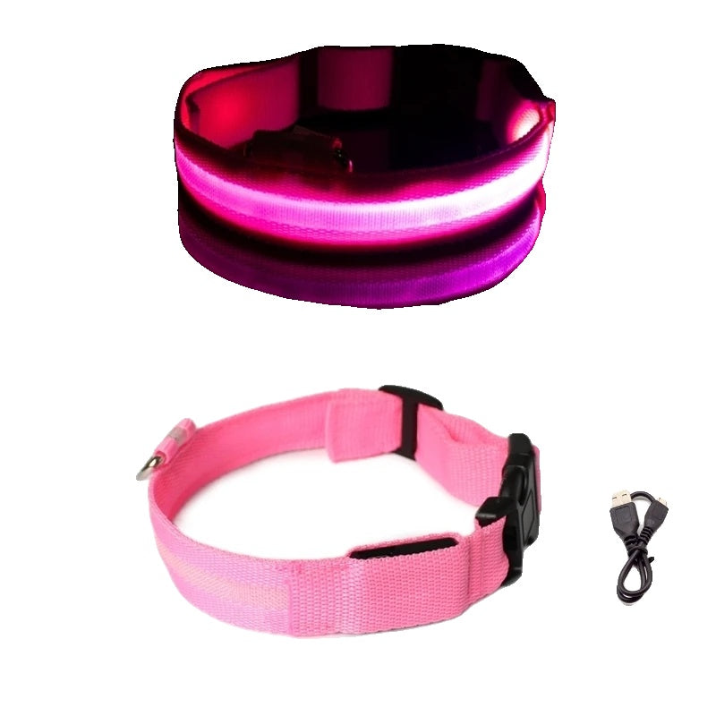 Variant image for LED Dog Collar Light for Dogs – USB Rechargeable, Anti-Lost, Lightweight Visibility-8