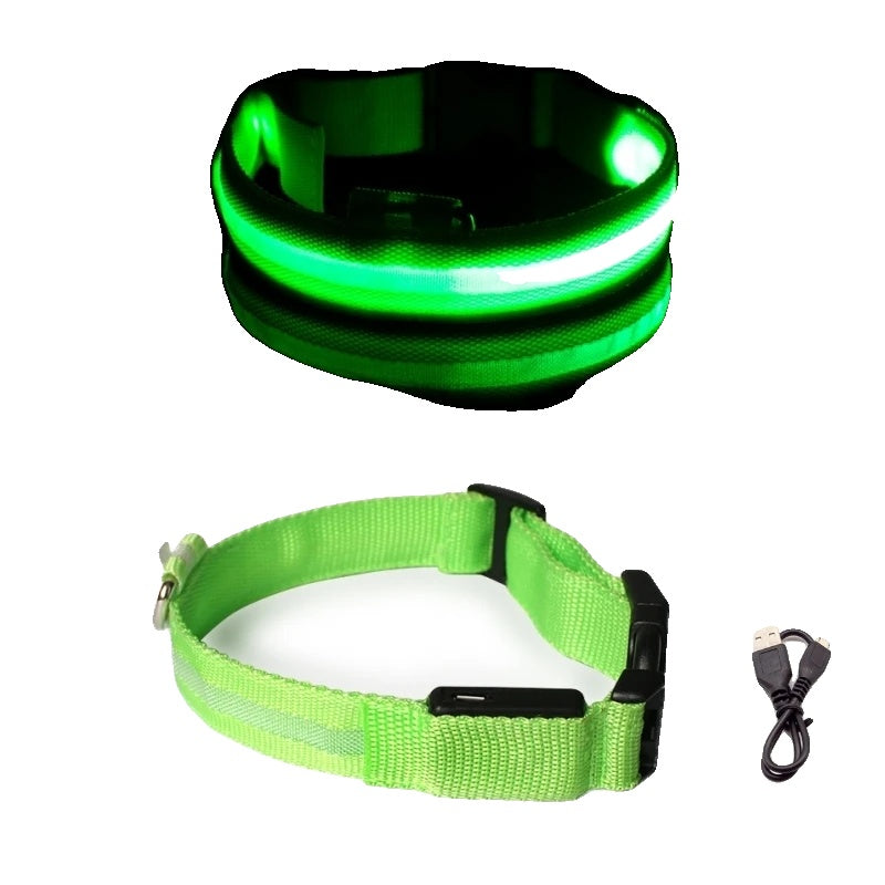 Variant image for LED Dog Collar Light for Dogs – USB Rechargeable, Anti-Lost, Lightweight Visibility-23