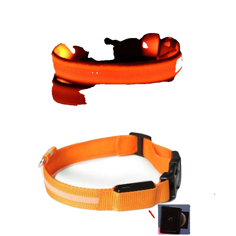 Variant image for LED Dog Collar Light for Dogs – USB Rechargeable, Anti-Lost, Lightweight Visibility-48