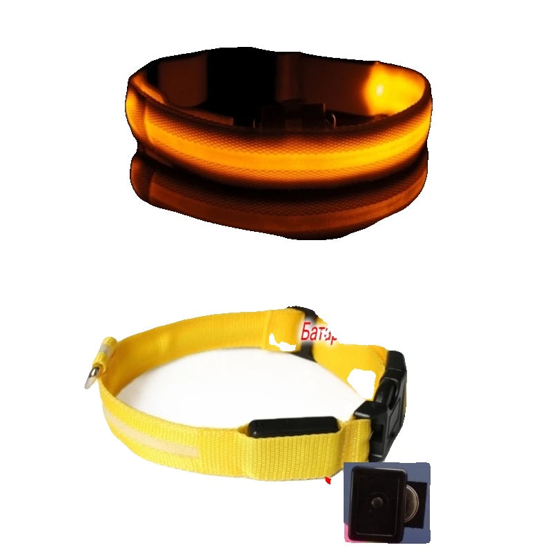 Variant image for LED Dog Collar Light for Dogs – USB Rechargeable, Anti-Lost, Lightweight Visibility-39