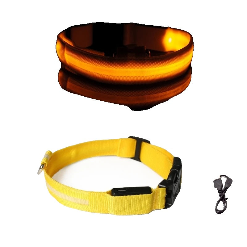 Variant image for LED Dog Collar Light for Dogs – USB Rechargeable, Anti-Lost, Lightweight Visibility-43