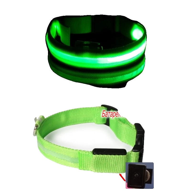 Variant image for LED Dog Collar Light for Dogs – USB Rechargeable, Anti-Lost, Lightweight Visibility-3