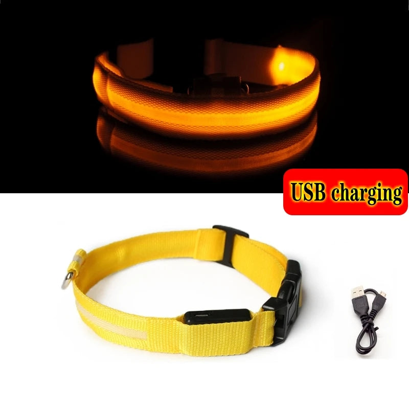 Variant image for LED Dog Collar Light for Dogs – USB Rechargeable, Anti-Lost, Lightweight Visibility-17