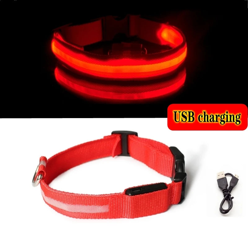 Variant image for LED Dog Collar Light for Dogs – USB Rechargeable, Anti-Lost, Lightweight Visibility-31