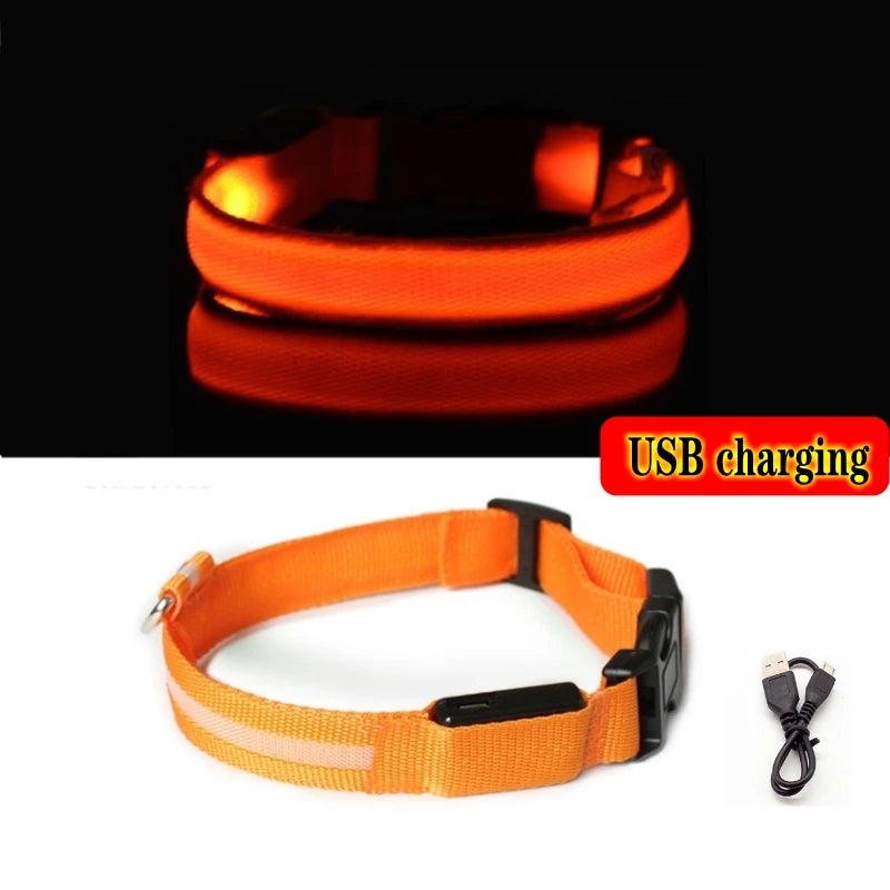 Variant image for LED Dog Collar Light for Dogs – USB Rechargeable, Anti-Lost, Lightweight Visibility-47
