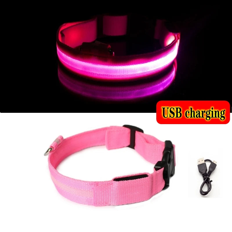 Variant image for LED Dog Collar Light for Dogs – USB Rechargeable, Anti-Lost, Lightweight Visibility-37