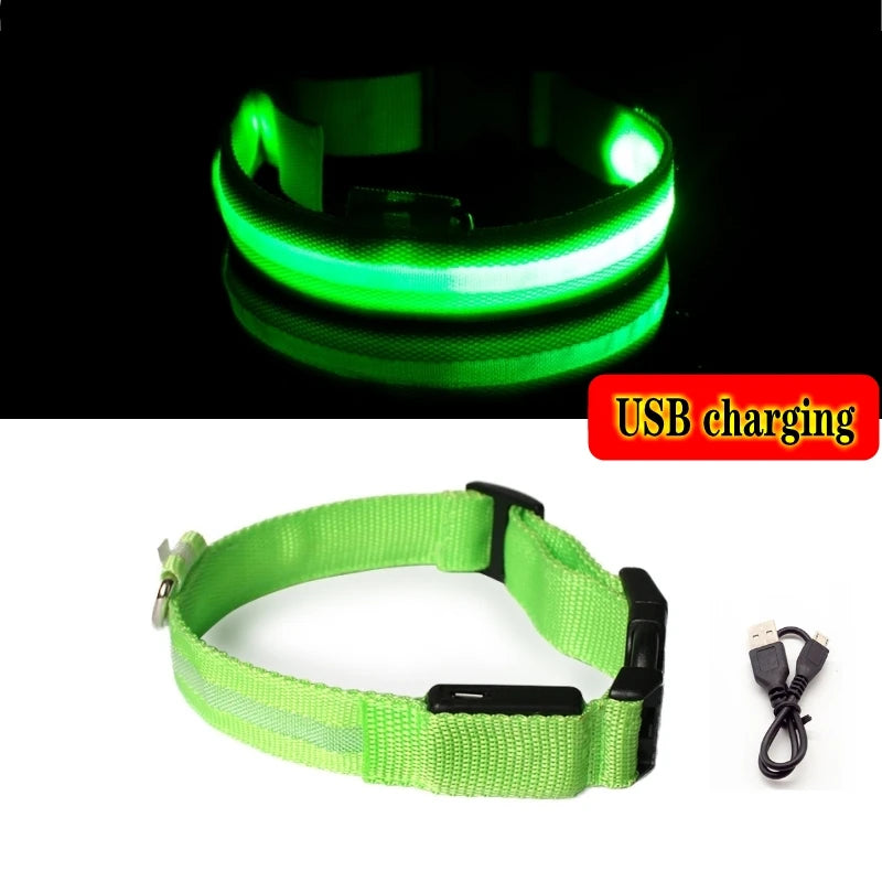 Variant image for LED Dog Collar Light for Dogs – USB Rechargeable, Anti-Lost, Lightweight Visibility-38