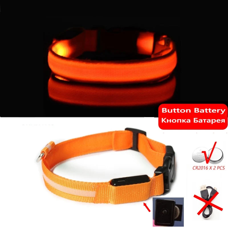 Variant image for LED Dog Collar Light for Dogs – USB Rechargeable, Anti-Lost, Lightweight Visibility-11