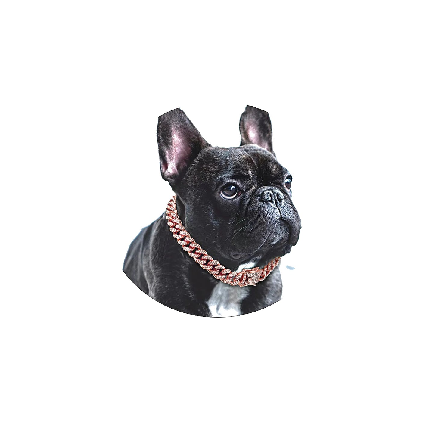 Variant image for Dog Collar for Pets – Stylish Diamond Cuban Link Design, Multiple Sizes, Elegant Colors-22