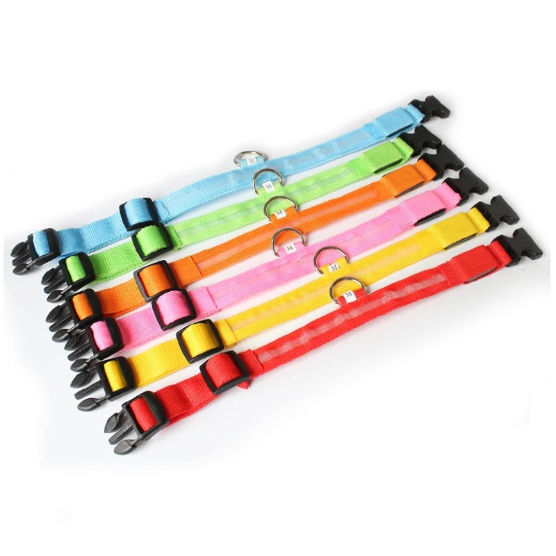 LED Dog Collar Light for Dogs – USB Rechargeable, Anti-Lost, Lightweight Visibility-3