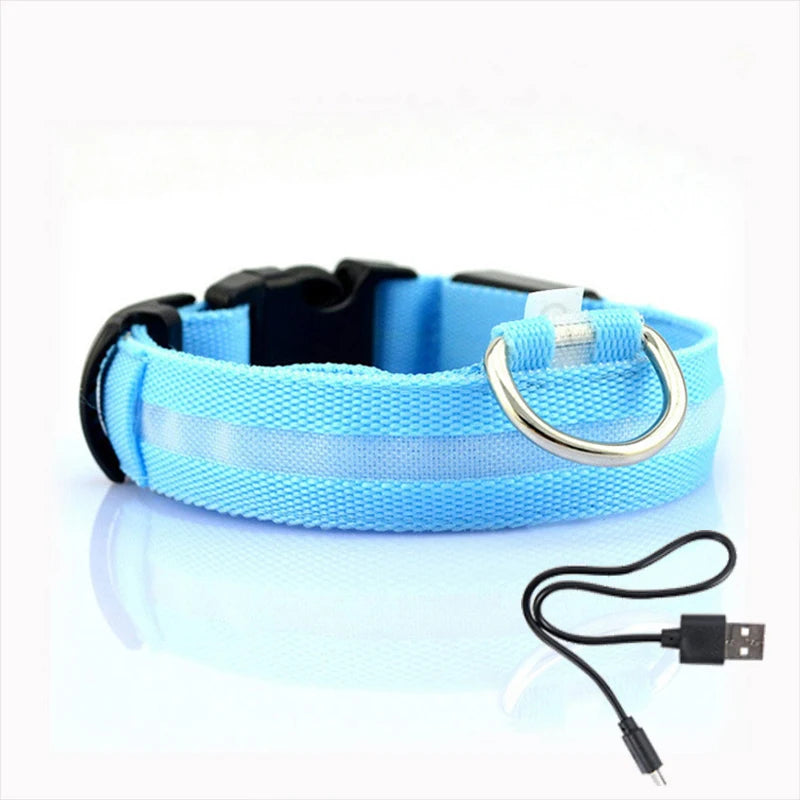 LED Dog Collar Light for Dogs – USB Rechargeable, Anti-Lost, Lightweight Visibility-4