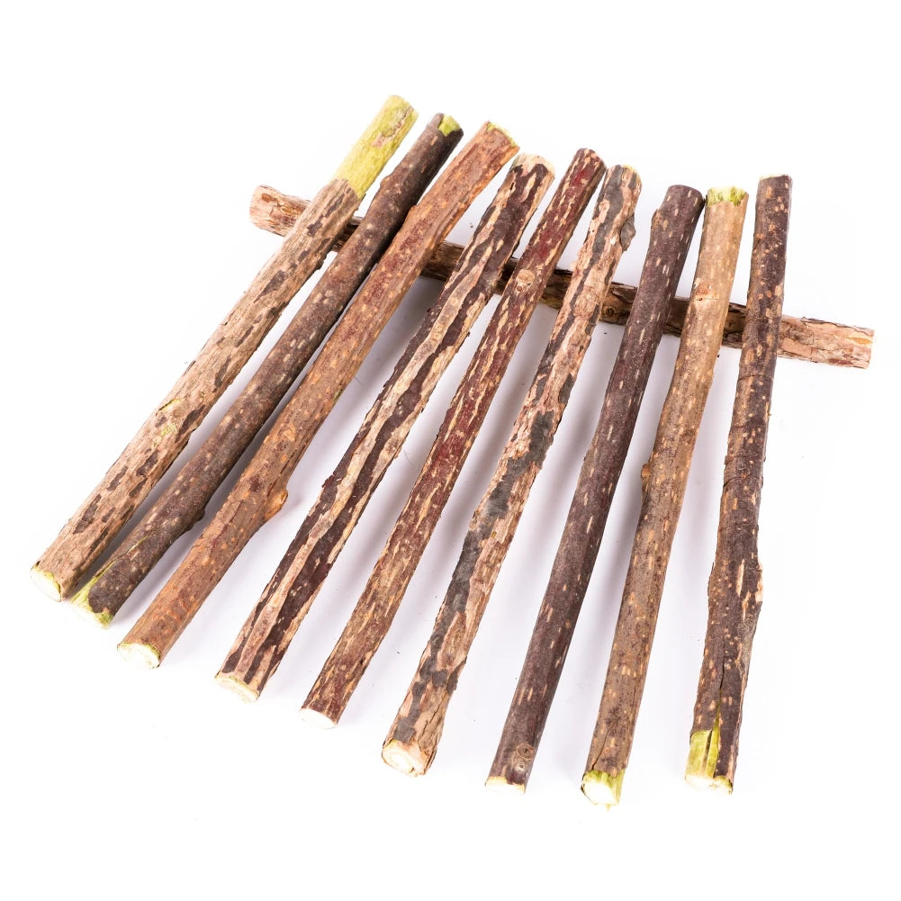 Chew Cat Toys for Cats – Natural Wood Polygonum, Safe, Promotes Dental Health-5