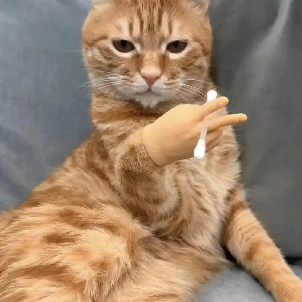 Interactive Cat Toy – Creative Finger Gloves, Soft TPR, Engaging Teasing Play-6