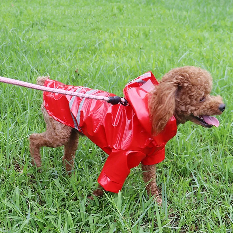 Dog Raincoat for Small Dogs – Waterproof, Reflective, Comfortable Fit-3