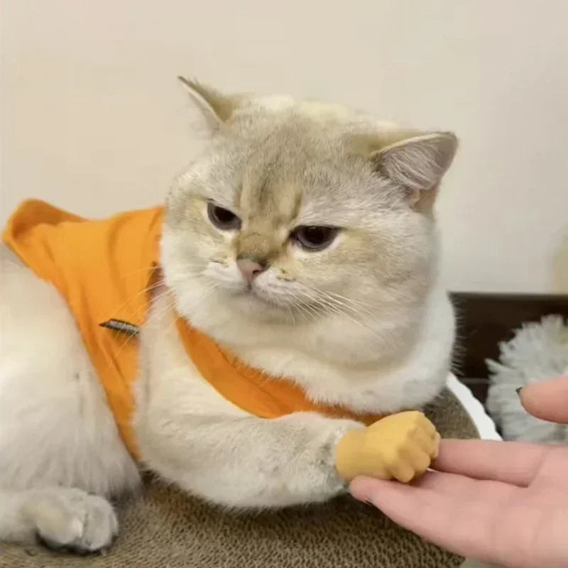 Interactive Cat Toy – Creative Finger Gloves, Soft TPR, Engaging Teasing Play-4