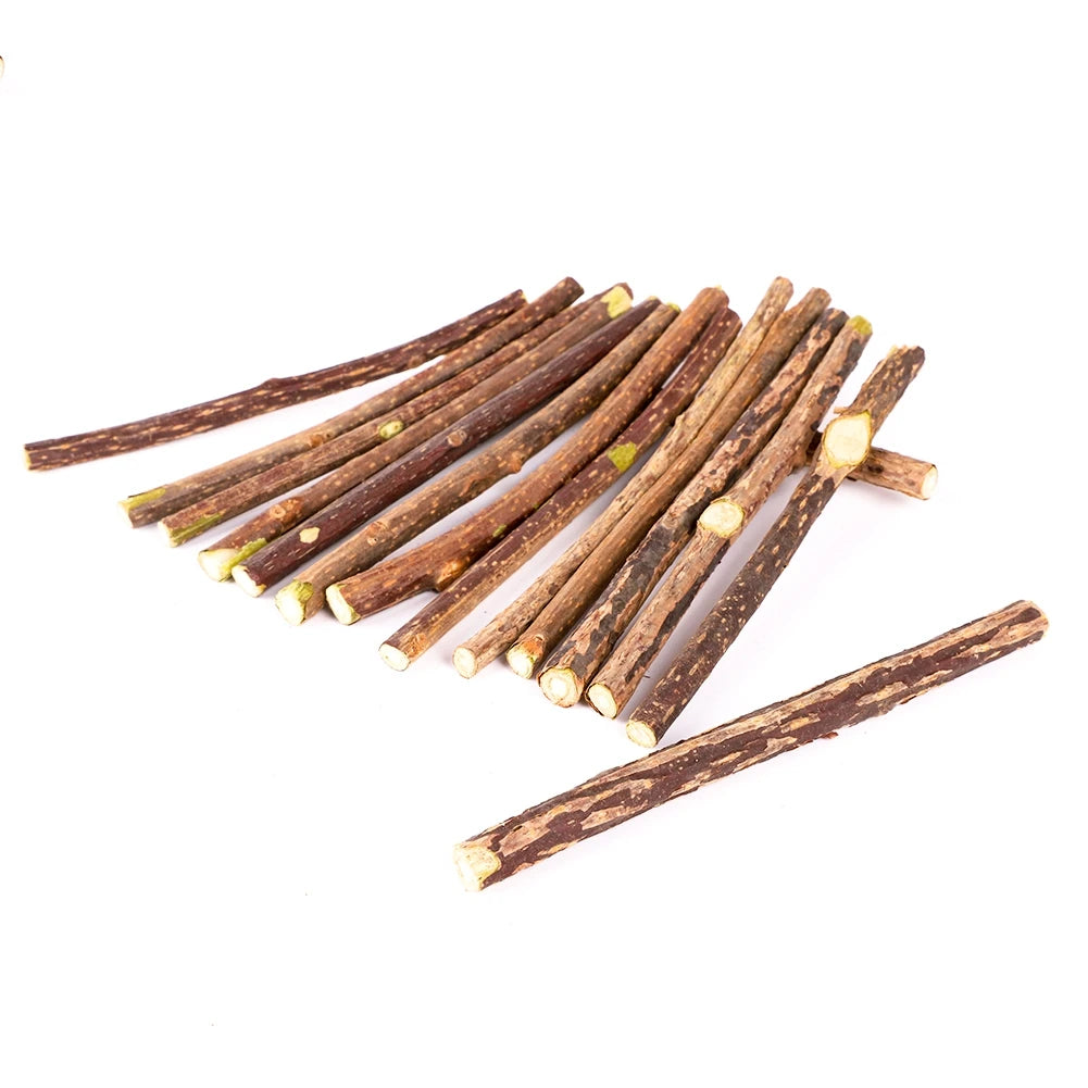 Chew Cat Toys for Cats – Natural Wood Polygonum, Safe, Promotes Dental Health-3
