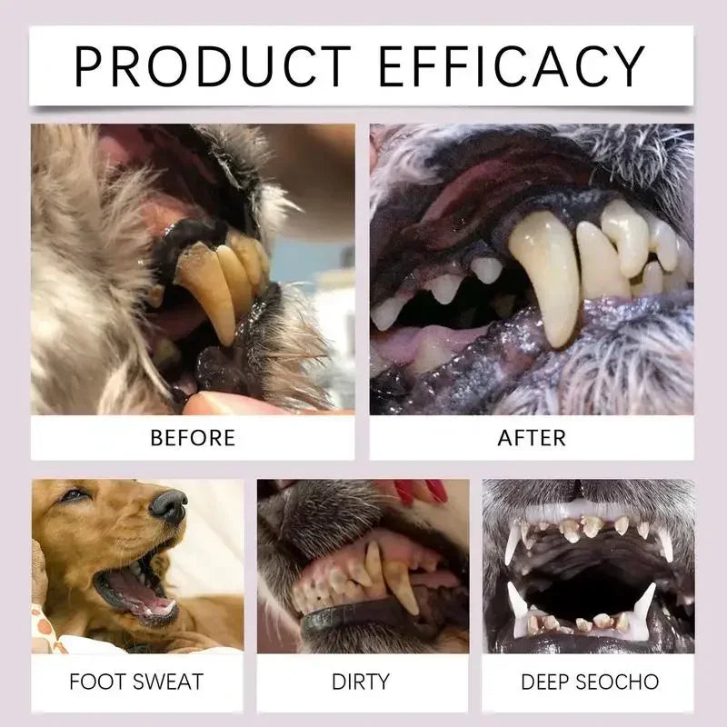 Pet Toothbrush for Dogs and Cats – Easy Teeth Cleaning, Fresh Breath, Compact Design-2