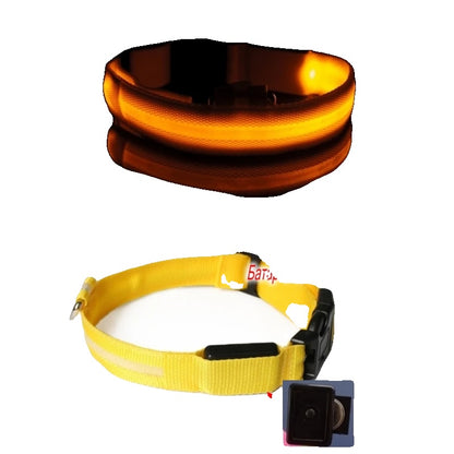 Variant image for LED Dog Collar Light for Dogs – USB Rechargeable, Anti-Lost, Lightweight Visibility-39
