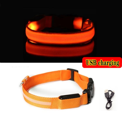 Variant image for LED Dog Collar Light for Dogs – USB Rechargeable, Anti-Lost, Lightweight Visibility-55