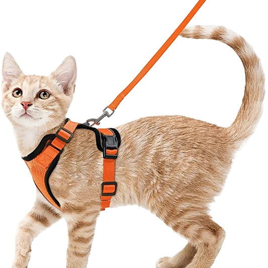 Cat Harness and Leash for Cats – Escape Proof, Soft Adjustable Vest, Lightweight Design-1