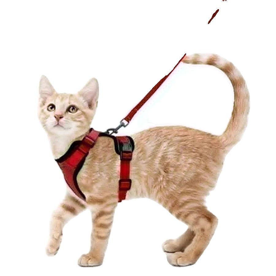Variant image for Cat Harness and Leash for Cats – Escape Proof, Soft Adjustable Vest, Lightweight Design-15