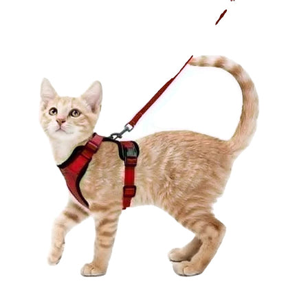 Variant image for Cat Harness and Leash for Cats – Escape Proof, Soft Adjustable Vest, Lightweight Design-15