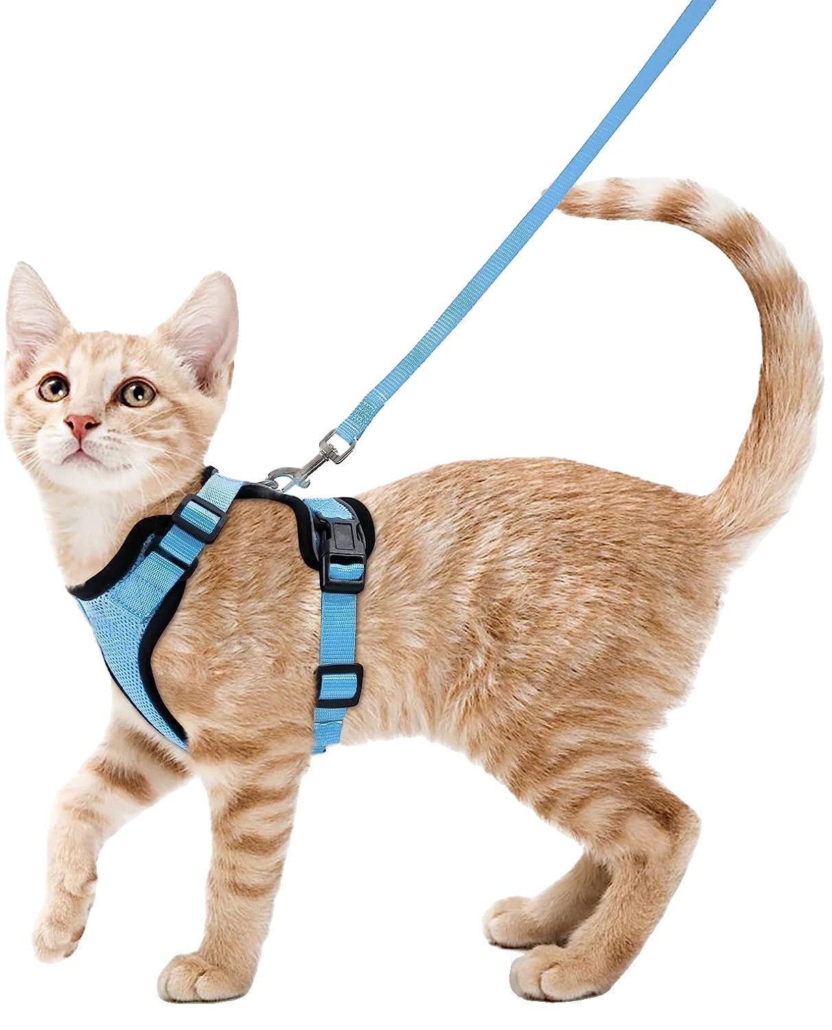 Variant image for Cat Harness and Leash for Cats – Escape Proof, Soft Adjustable Vest, Lightweight Design-10