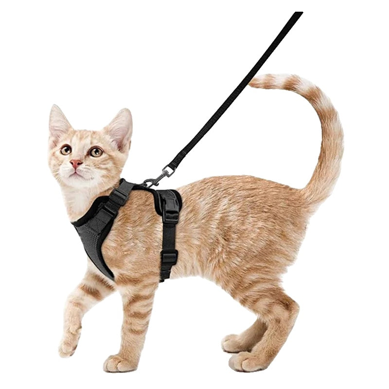 Variant image for Cat Harness and Leash for Cats – Escape Proof, Soft Adjustable Vest, Lightweight Design-2