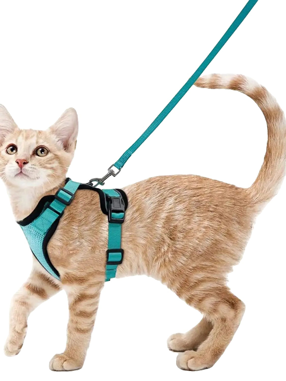 Variant image for Cat Harness and Leash for Cats – Escape Proof, Soft Adjustable Vest, Lightweight Design-9