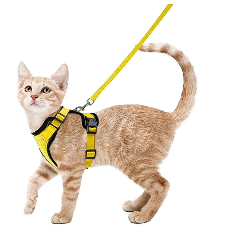 Variant image for Cat Harness and Leash for Cats – Escape Proof, Soft Adjustable Vest, Lightweight Design-21