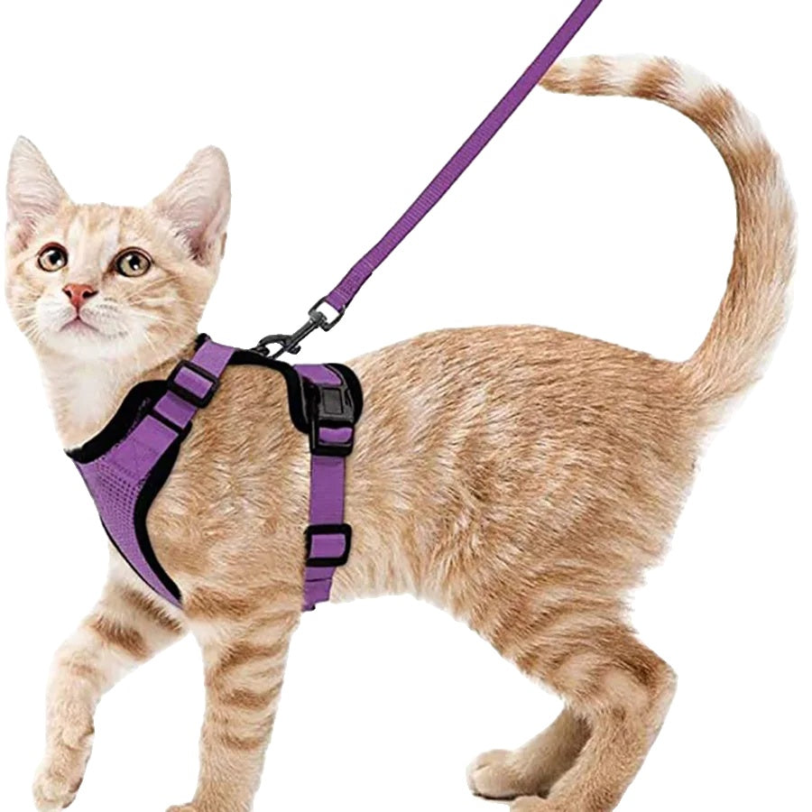 Variant image for Cat Harness and Leash for Cats – Escape Proof, Soft Adjustable Vest, Lightweight Design-18