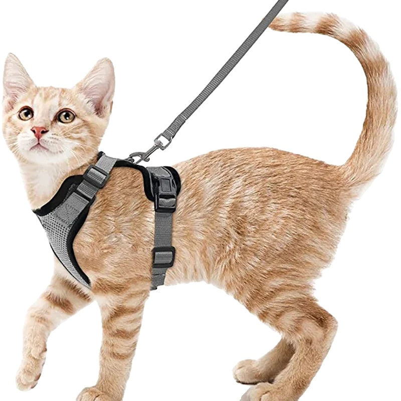 Variant image for Cat Harness and Leash for Cats – Escape Proof, Soft Adjustable Vest, Lightweight Design-5