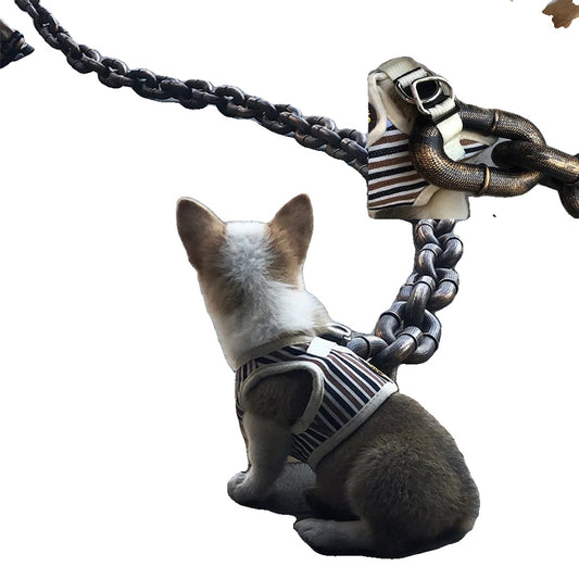 Funny Dog Leash for Small to Large Dogs – Lightweight, Unique Iron Chain Design, Durable Plastic-1