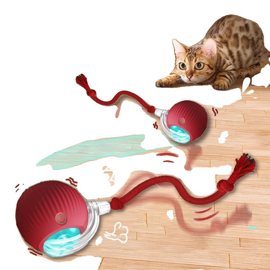 Interactive Cat Toy – Rechargeable Rolling Ball, Smart Design, Quiet Operation-2