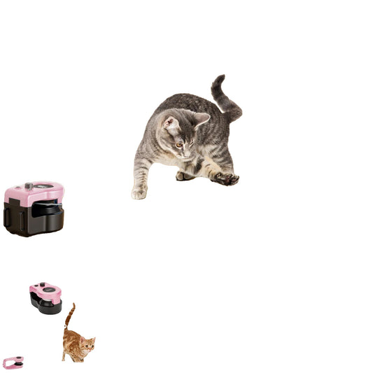 Interactive Cat Wheel for Indoor Cats – Adjustable Speed, Mouse Sounds, Promotes Exercise-2