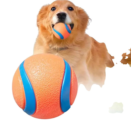 Fetch Ball Toy for Dogs – Tough, Durable, Solid Elastic for Interactive Play-1
