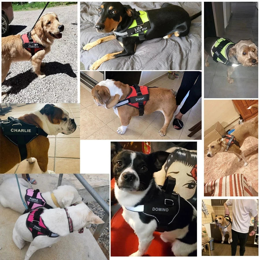 No-Pull Dog Harness for Outdoor Walking – Reflective, Breathable, Adjustable Design-5