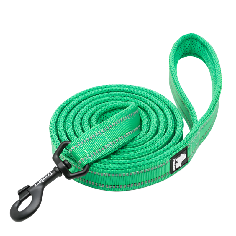Variant image for Soft Dog Leash for Training – Reflective Nylon, Padded Handle, 110cm Length-15