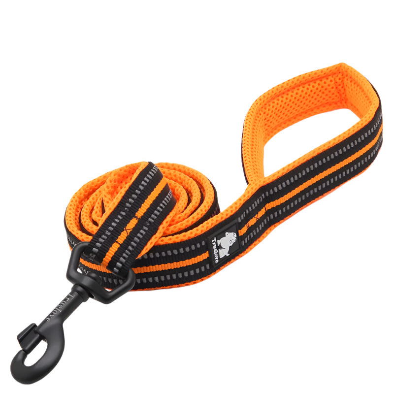 Variant image for Soft Dog Leash for Training – Reflective Nylon, Padded Handle, 110cm Length-4