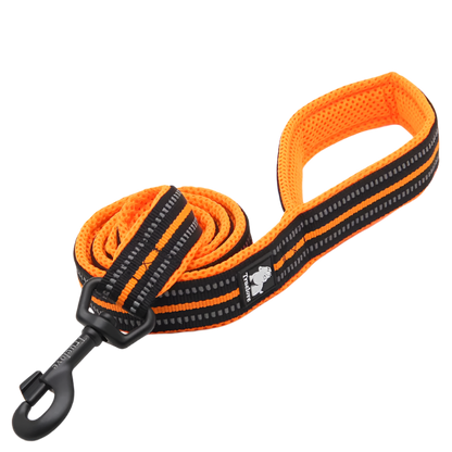 Variant image for Soft Dog Leash for Training – Reflective Nylon, Padded Handle, 110cm Length-4
