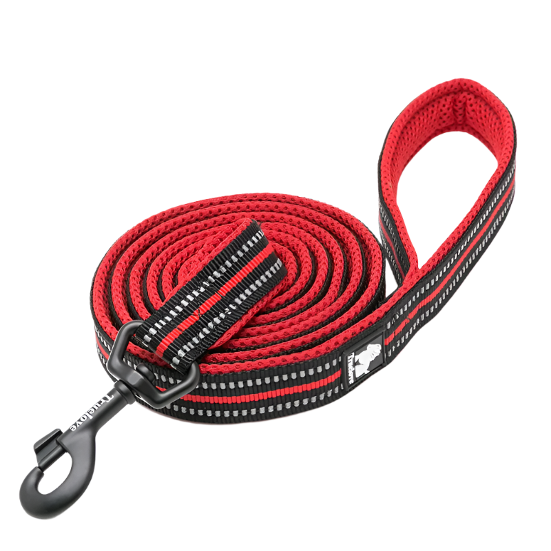 Variant image for Soft Dog Leash for Training – Reflective Nylon, Padded Handle, 110cm Length-2
