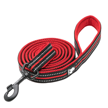 Variant image for Soft Dog Leash for Training – Reflective Nylon, Padded Handle, 110cm Length-2