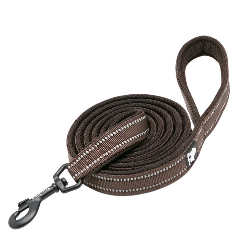 Variant image for Soft Dog Leash for Training – Reflective Nylon, Padded Handle, 110cm Length-12