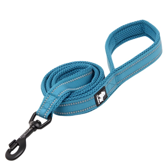 Variant image for Soft Dog Leash for Training – Reflective Nylon, Padded Handle, 110cm Length-1