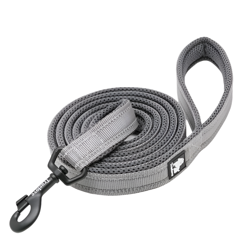 Variant image for Soft Dog Leash for Training – Reflective Nylon, Padded Handle, 110cm Length-5