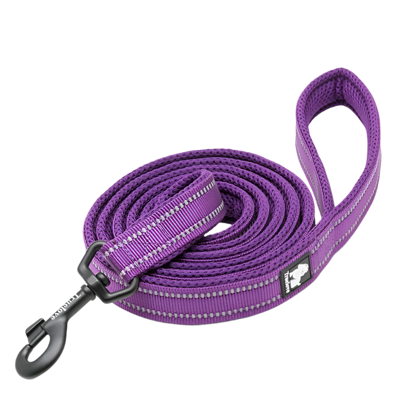 Variant image for Soft Dog Leash for Training – Reflective Nylon, Padded Handle, 110cm Length-13