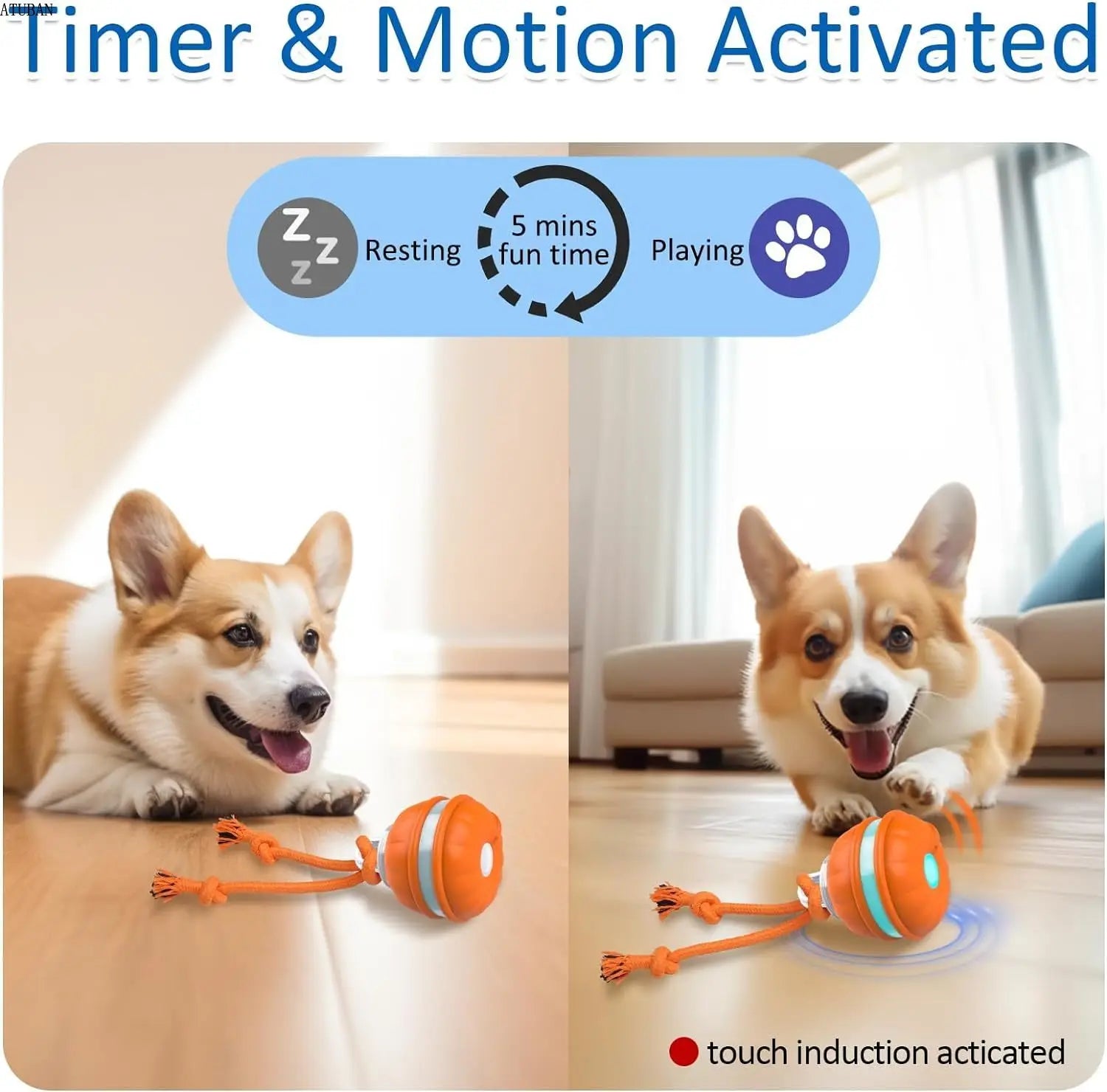 Interactive Dog Toy for Dogs – Motion Activated, Automatic Rolling, Rechargeable-2