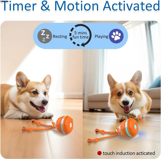 Interactive Dog Toy for Dogs – Motion Activated, Automatic Rolling, Rechargeable-2