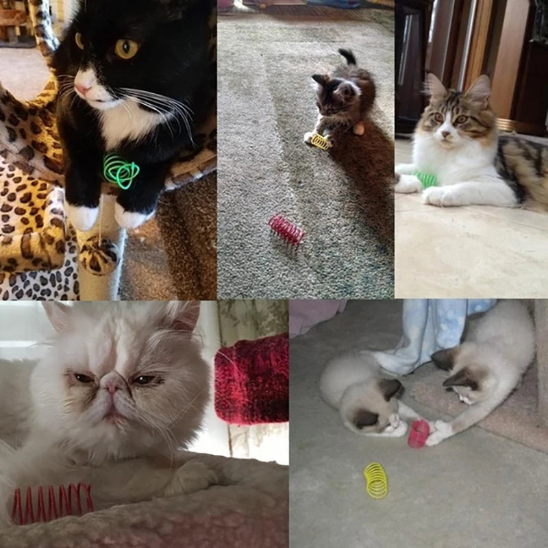 Spring Toy for Cats – Durable Plastic, Vibrant Colors, Engaging Playtime-5